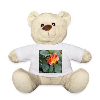 Georgine / Grossfiedrige Dahlie - Teddy - Weiß - Vorne