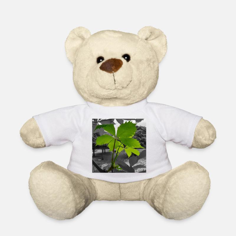 Feuille verte en contraste en niveaux de gris - Nounours - blanc