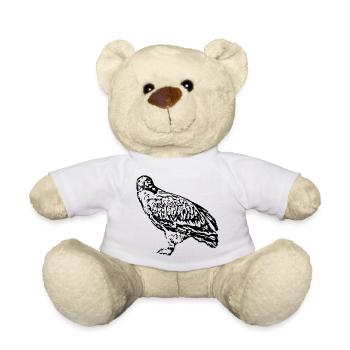 Peregrine Falcon Falcon Bird Predator Falcon - Teddy Bear - white - Front