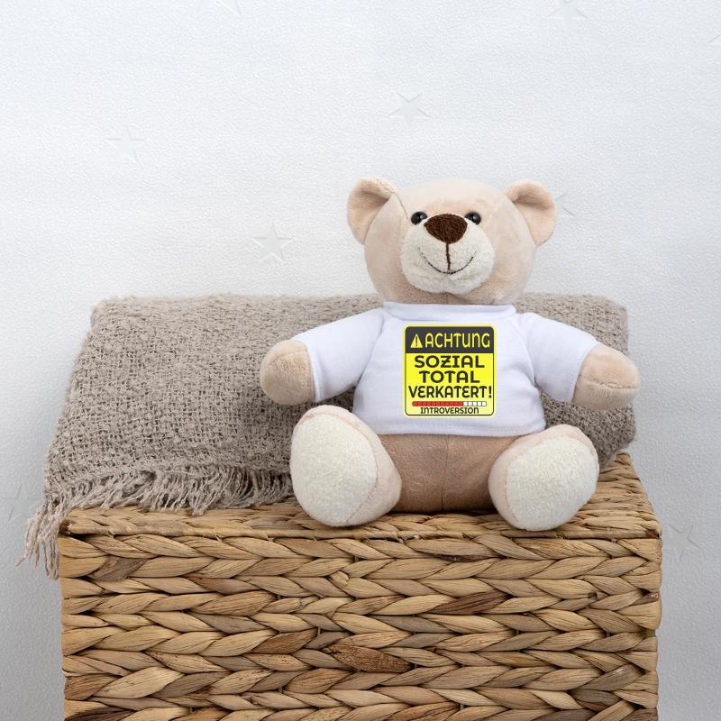 INTROVERTIERTE PERSON INTROVERSION IRONIE Teddy