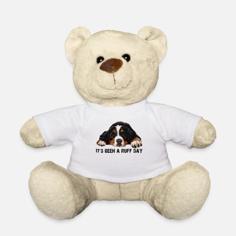 Bouvier bernois - Nounours - blanc
