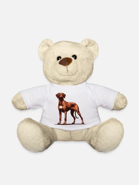 Rhodesian Ridgeback - Teddy - Weiß