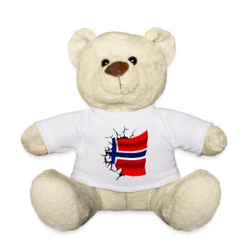 Flag of Norway - Norway - Flag Broken Design - Teddy Bear - white - Front