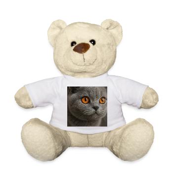 Conception détaillée de l’œil de chat - Nounours - blanc - Devant
