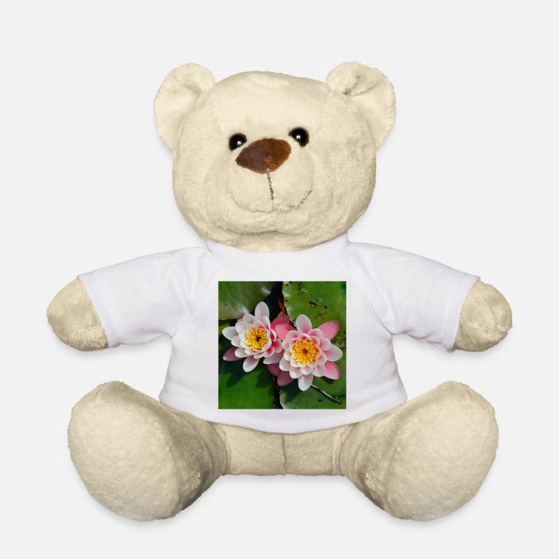 Seerosen Blüten im Wasser - Teddy - Weiß