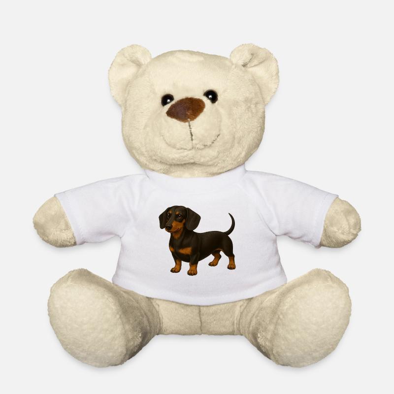 Teckel - Nounours - blanc