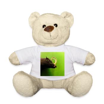 Sanglier - Nounours - blanc - Devant