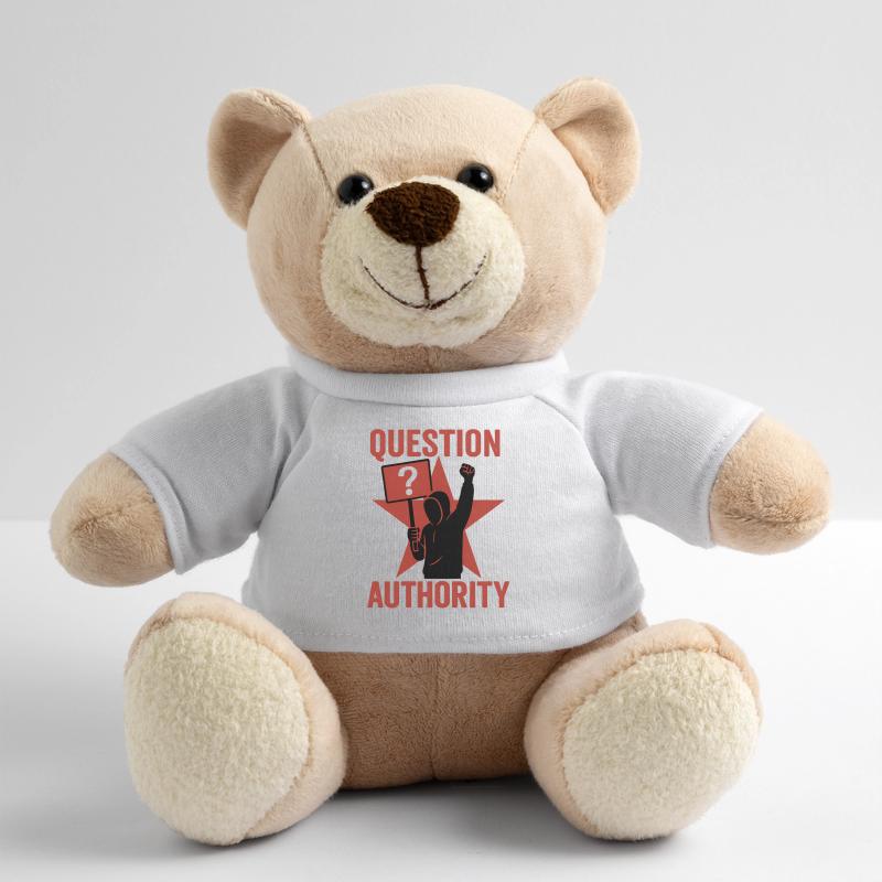 Question Power Teddy Bear