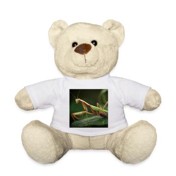 Gottesanbeterin Makro  Elegante Fangschrecke - Teddy - Weiß - Vorne