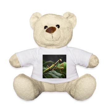 Praying mantis Makro – Elegant mantis - Teddy Bear - white - Front