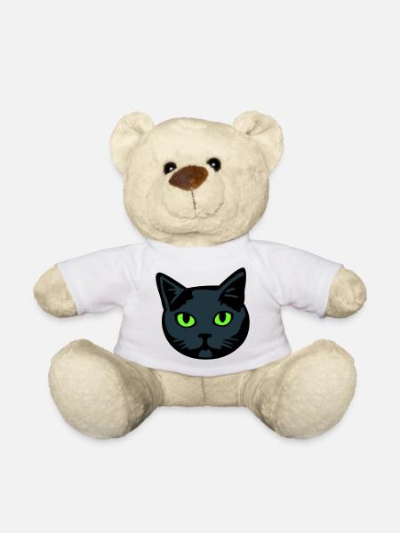 Chat gris / Mâle « British Shorthair » - Nounours - blanc