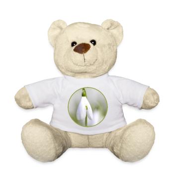 Schneeglöckchen Blüte weiße Blüte Frühblüher - Teddy - Weiß - Vorne