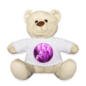 Crocuses Crocus Purple Flowers Crocus Bud - Teddy Bear - white - Front