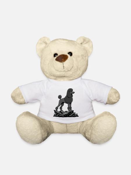Schwarzer Pudelhund auf Felsen – elegantes Porträt - Teddy - Weiß