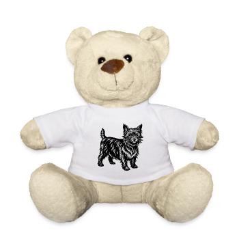 Cairn Terrier - Teddy - Weiß - Vorne