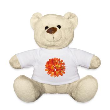 Leuchtend orangefarbene Clivia-Botanische Blumenblüte - Teddy - Weiß - Vorne