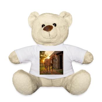 Coucher de soleil, jument avec poulain - Nounours - blanc - Devant