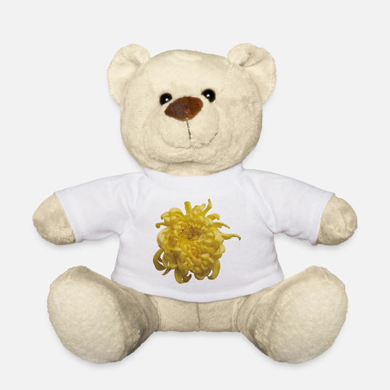 Vibrant_Yellow_Chrysanthemum_Flower - Nounours - blanc