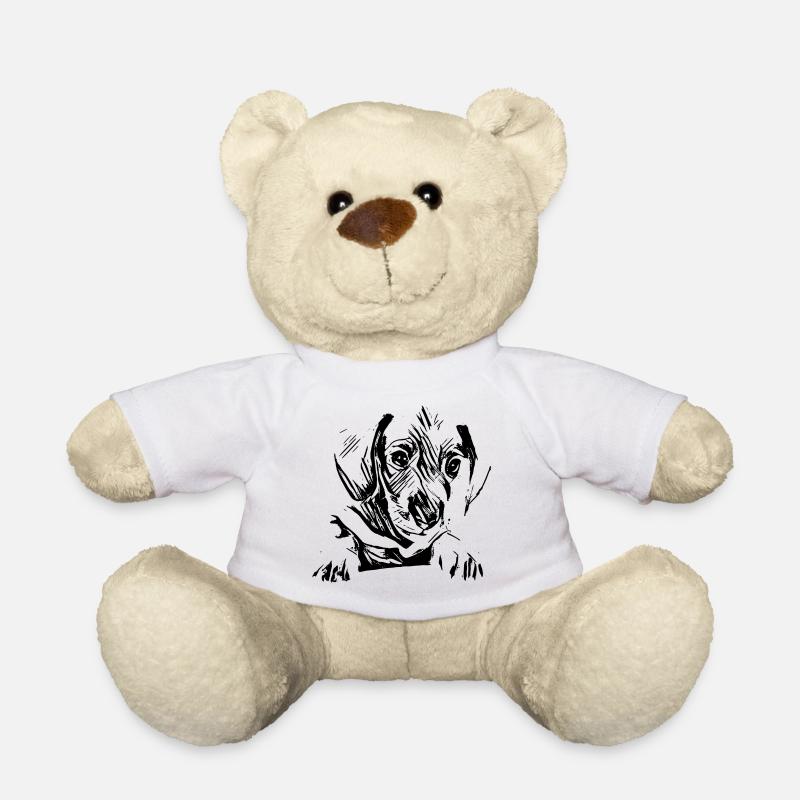 Dackel - Teddy - Weiß