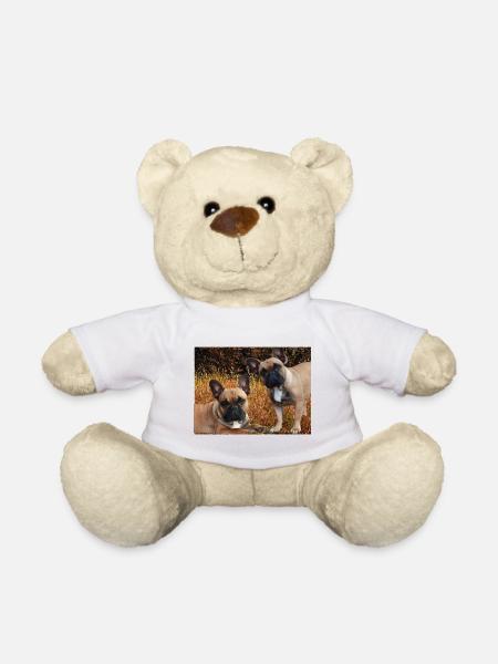 Bouledogues français dans la prairie - Nounours - blanc
