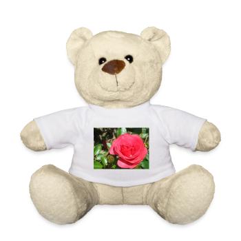 Rose rot mit grünen Blättern - Teddy - Weiß - Vorne