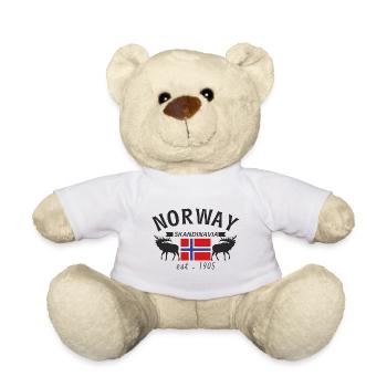 Norvège 1905 Scandinvia - Nounours - blanc - Devant