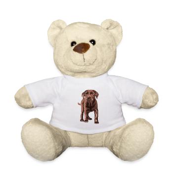 Labrador Retriever - Teddy - Weiß - Vorne