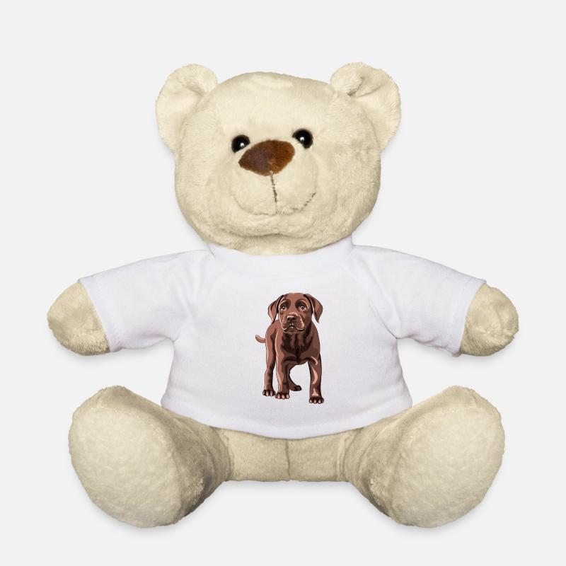 Labrador Retriever - Teddy Bear - white