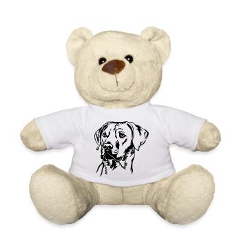 Rhodesian Ridgeback Kopf - Teddy - Weiß - Vorne