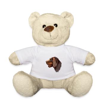 Cesky Fousek Aquarelle de chien Illustration - Nounours - blanc - Devant