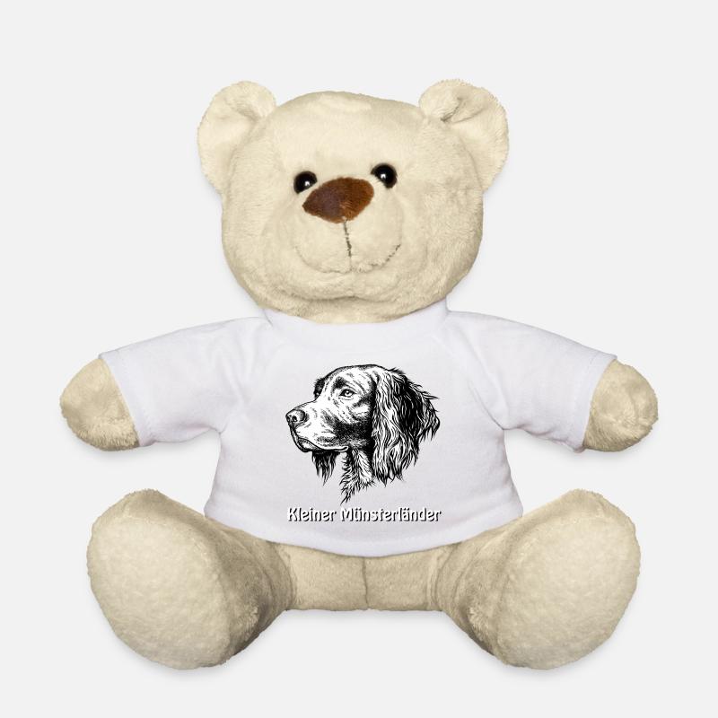 Kl. Münsterländer - Portrait - Teddy - Weiß