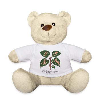 Stylish Plant - Philodendron Pink Princess - Teddy Bear - white - Front