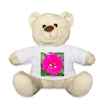 Rosa Rosenblüte - Teddy - Weiß - Vorne