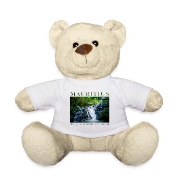 Mauritius This is where I'm from Forest waterfall - Nounours - blanc - Devant