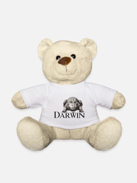 Darwin Aligator - Nounours - blanc