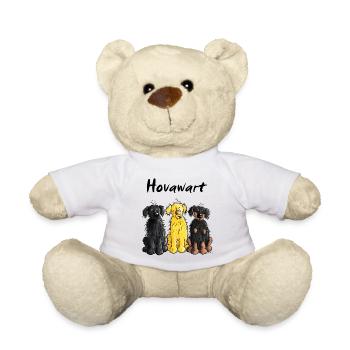 Hovawart - Hovi - Hund - Teddy - Weiß - Vorne
