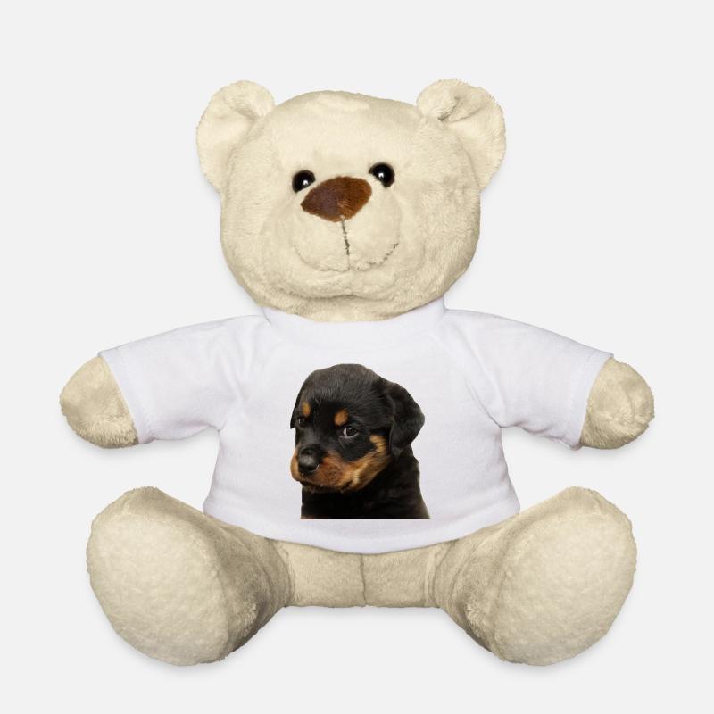Cute Rottweiler puppy with big eyes - Teddy Bear - white
