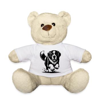 Saint-bernard - Nounours - blanc - Devant