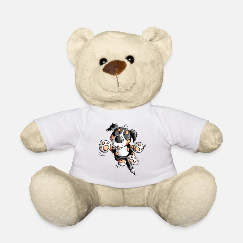 Brain der Berner Sennenhund - Teddy - Weiß