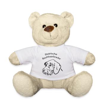 Steirische Rauhhaarbracke Portrait - Teddy - Weiß - Vorne