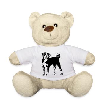 Appenzeller Sennenhund - Teddy - Weiß - Vorne