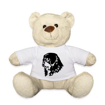 Tibetdogge Kopf - Teddy - Weiß - Vorne