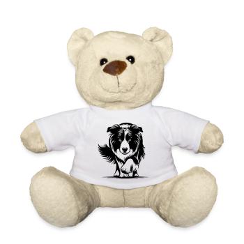 Border Collie - Nounours - blanc - Devant