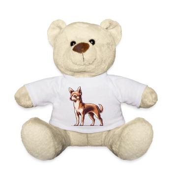 Chihuahua - Teddy - Weiß - Vorne