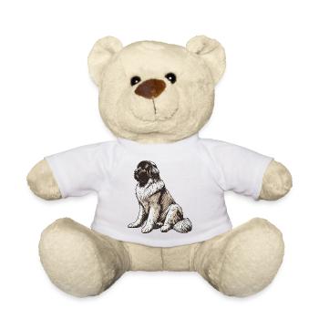 Neufundländer - Teddy - Weiß - Vorne