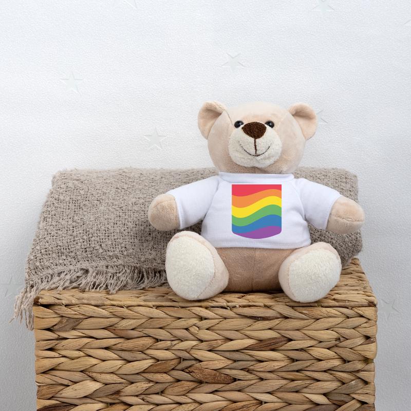 Rainbow Wave Pride Flag Minimal Design Teddy