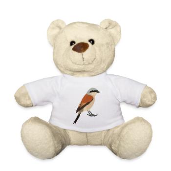 Pie-grièche écorcheur - Nounours - blanc - Devant