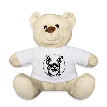 Chihuahua Hund - Teddy - Weiß - Vorne