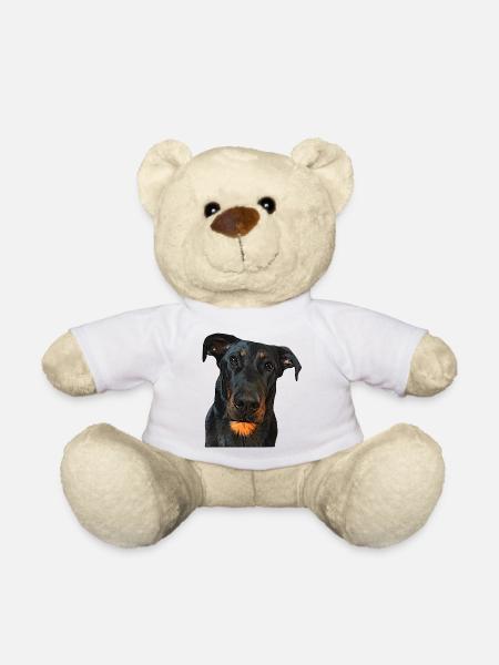 View of the Beauceron - Teddy Bear - white