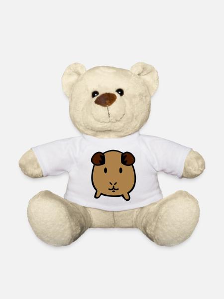 guinea pig - Teddy Bear - white